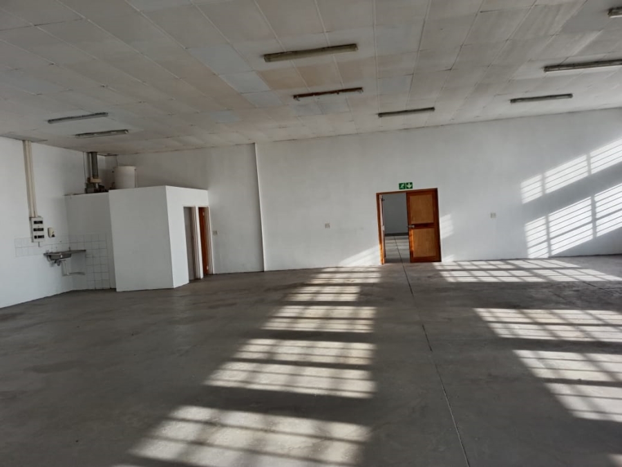 To Let commercial Property for Rent in University Estate Western Cape